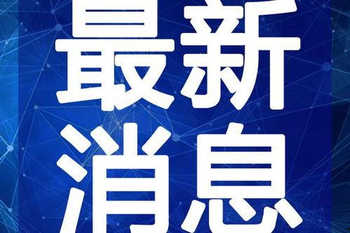 和平集市最新爆料视频,揭秘神秘视频背后的惊人真相！